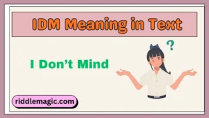 IDM Meaning in Text
