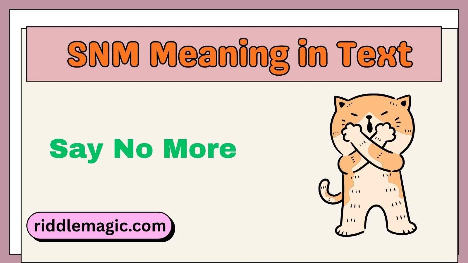 SNM Meaning in Text