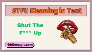 STFU Meaning in Text