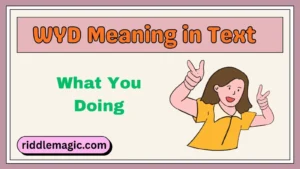 WYD Meaning in Text