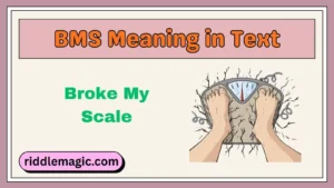 BMS Meaning in Text