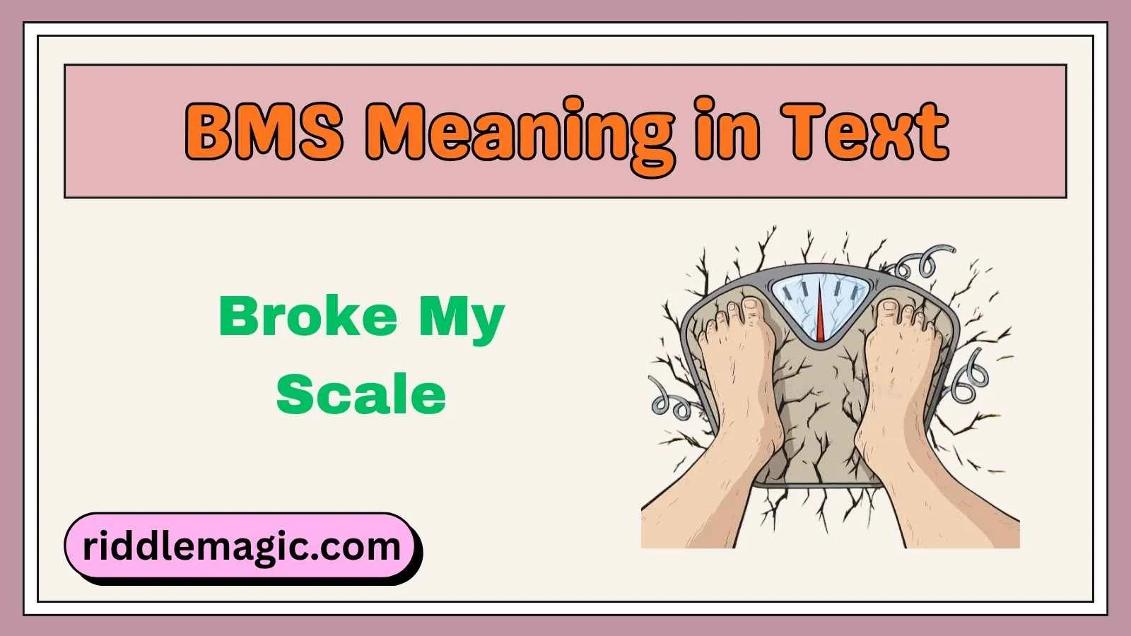BMS Meaning in Text