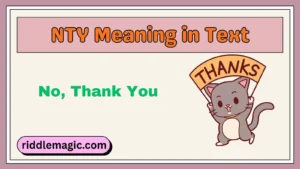NTY Meaning in Text